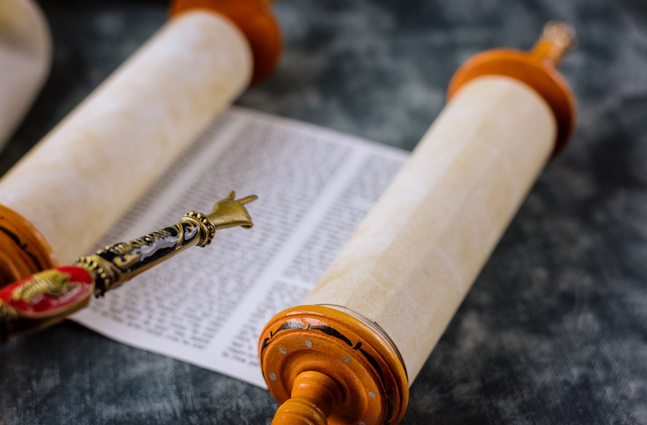 Reading a Torah Scroll during a Bar Mitzvah Ceremony .